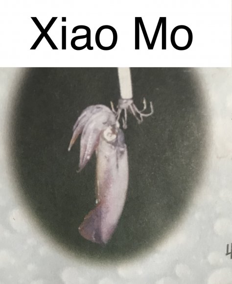 5_Xiao mo 