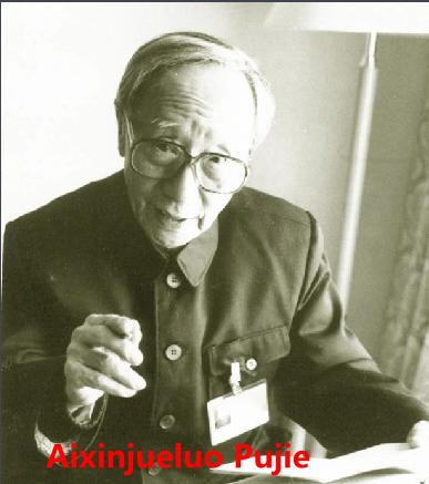 1_Aixinjueluo PUjie