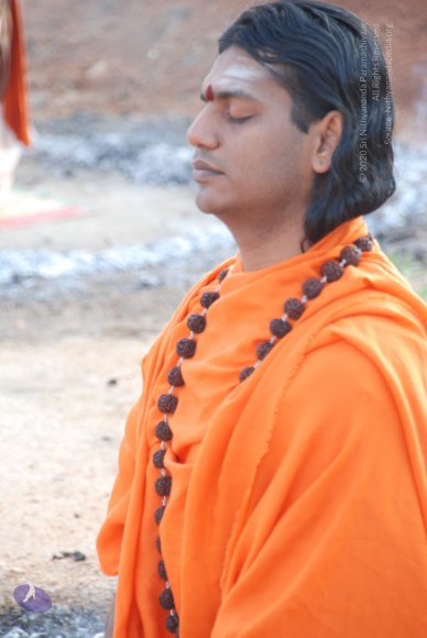 DSC_1385_CMP_WM