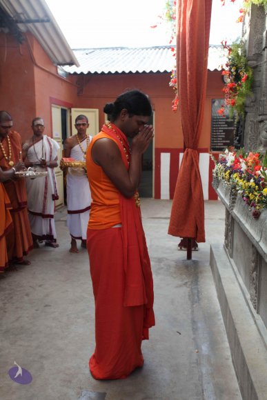 IMG_2133_CMP_WM