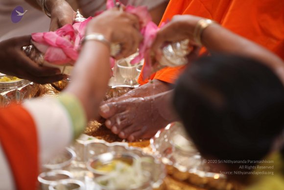 IMG_7738_CMP_WM