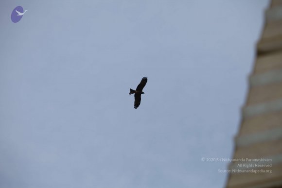 IMG_7807_CMP_WM