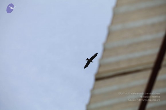 IMG_7808_CMP_WM