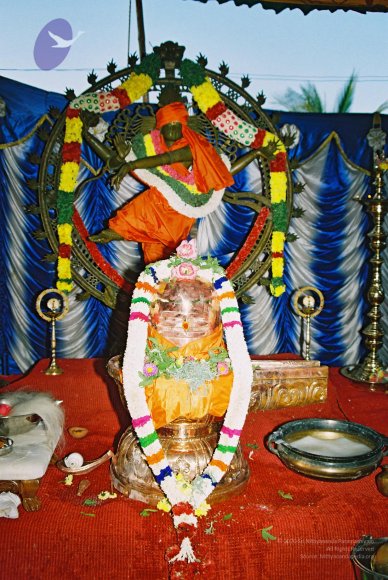 20030301_Photo_1022_F1260001_CMP_WM