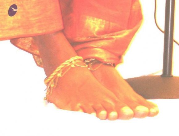 PADMA PAADANGAL 2.15.04_CMP_WM