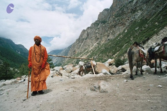 gkvale-1AA017A_CMP_WM