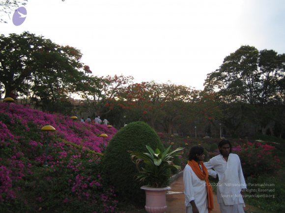 20050409_Photo_1005_IMG_0715_CMP_WM