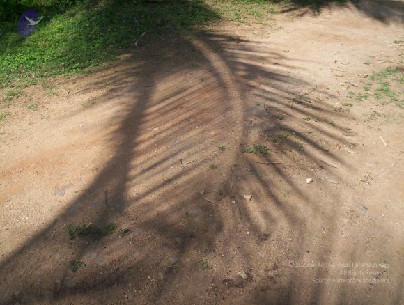 20050409_Photo_1006_100_2059_CMP_WM