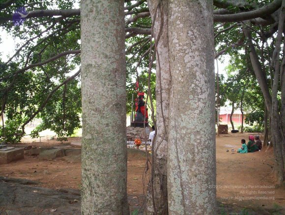 20050409_Photo_1010_100_2036_CMP_WM