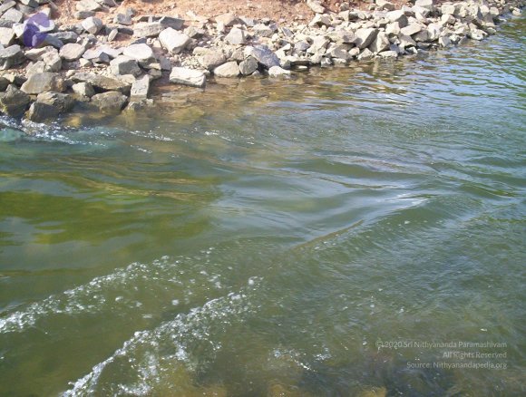 20050409_Photo_1013_100_2066_CMP_WM