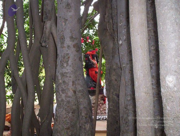 20050409_Photo_1017_100_2022_CMP_WM