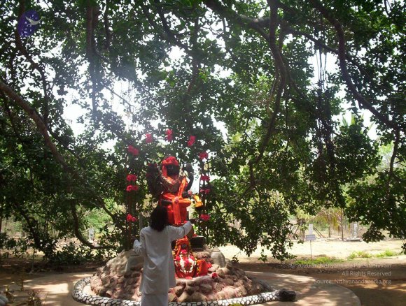 20050409_Photo_1019_100_2040_CMP_WM