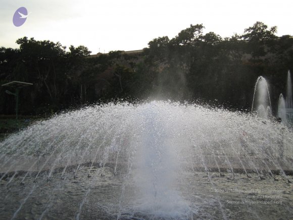 20050409_Photo_1020_IMG_0710_CMP_WM