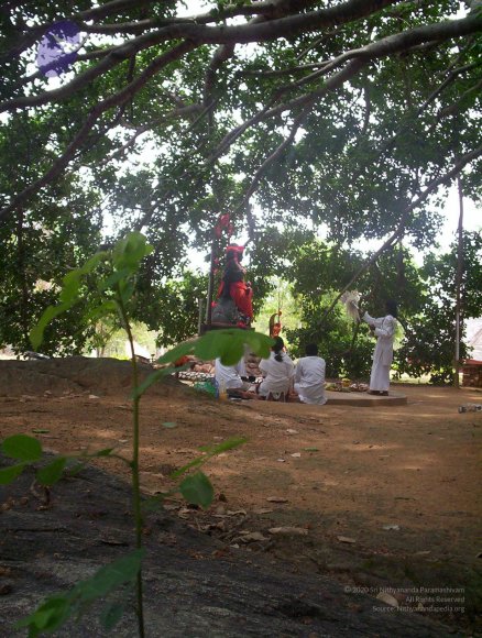 20050409_Photo_1024_100_2039_CMP_WM