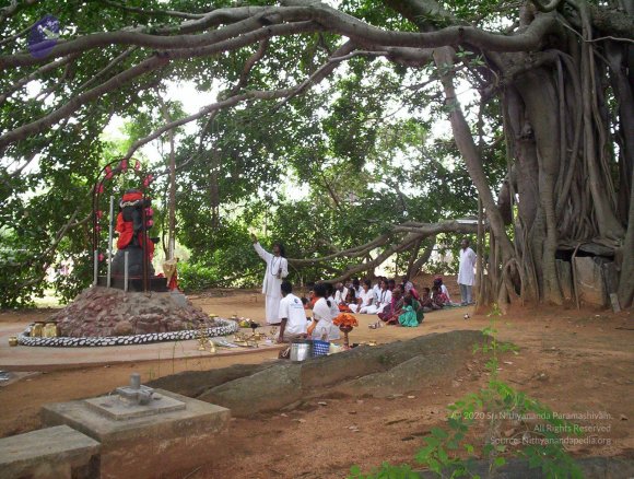 20050409_Photo_1032_100_2034_CMP_WM