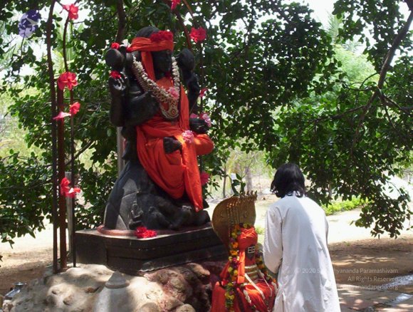 20050409_Photo_1033_100_2003_CMP_WM