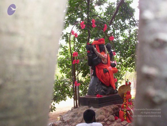 20050409_Photo_1034_100_2028_CMP_WM