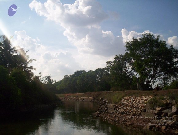 20050409_Photo_1035_100_2064_CMP_WM