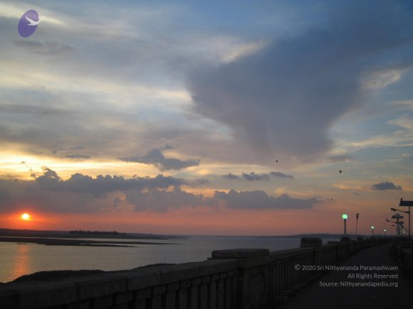 20050409_Photo_1040_IMG_0725_CMP_WM