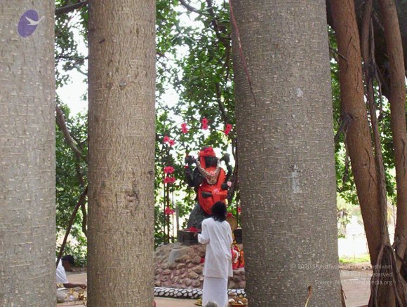 20050409_Photo_1047_100_2019_CMP_WM