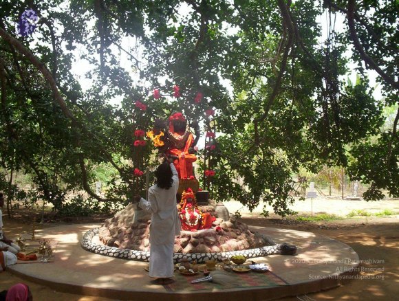 20050409_Photo_1056_100_2041_CMP_WM