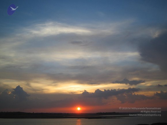 20050409_Photo_1059_IMG_0726_CMP_WM