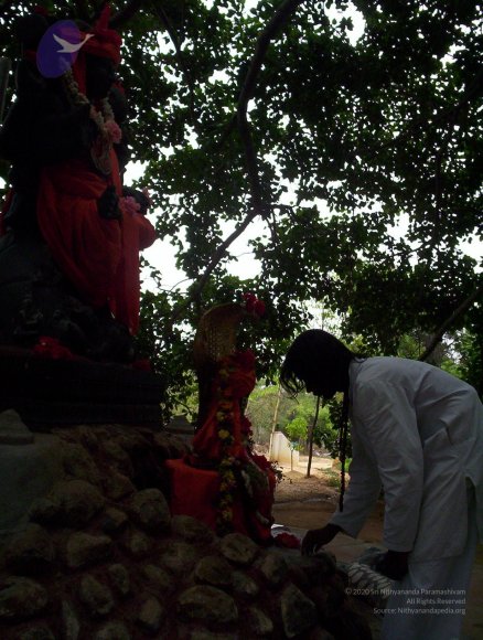 20050409_Photo_1060_100_2008_CMP_WM