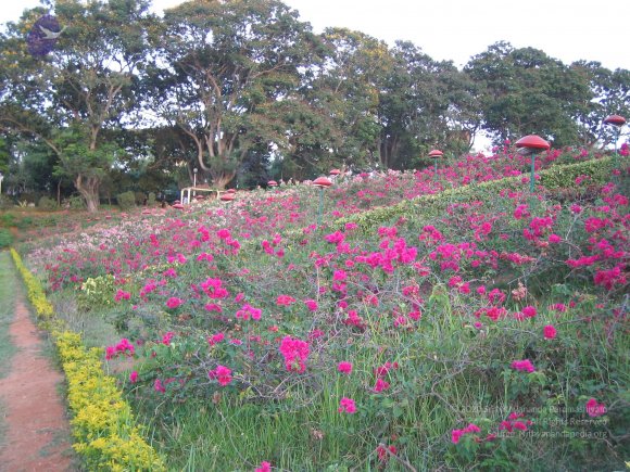 20050409_Photo_1065_IMG_0714_CMP_WM