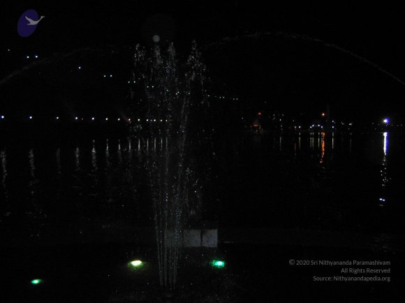 20050409_Photo_1068_IMG_0732_CMP_WM