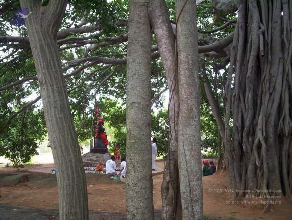 20050409_Photo_1072_100_2037_CMP_WM