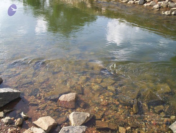 20050409_Photo_1073_100_2065_CMP_WM