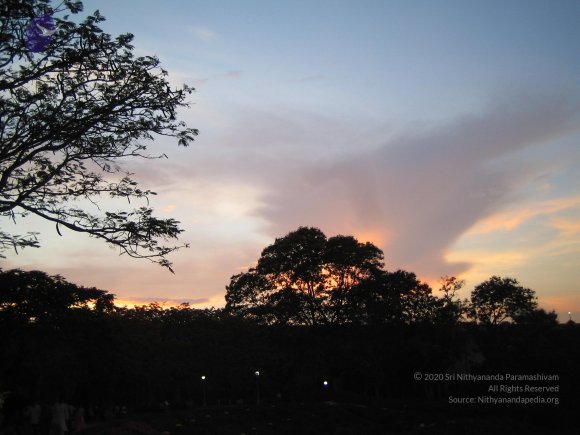 20050409_Photo_1076_IMG_0729_CMP_WM