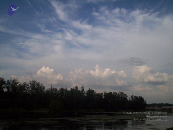 20050409_Photo_1078_100_2097_CMP_WM