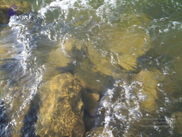 20050409_Photo_1080_100_2068_CMP_WM