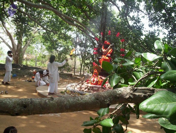 20050409_Photo_1083_100_2043_CMP_WM