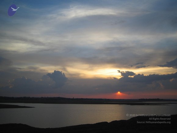 20050409_Photo_1087_IMG_0721_CMP_WM