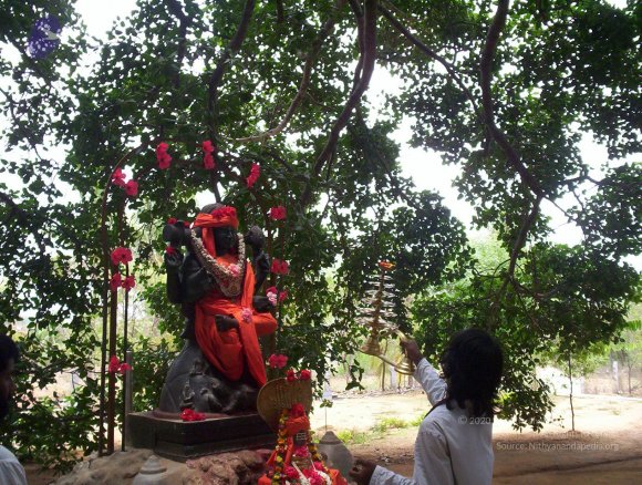 20050409_Photo_1088_100_2013_CMP_WM