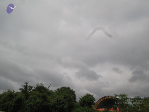 20050805_Photo_1096_IMG_1452_CMP_WM