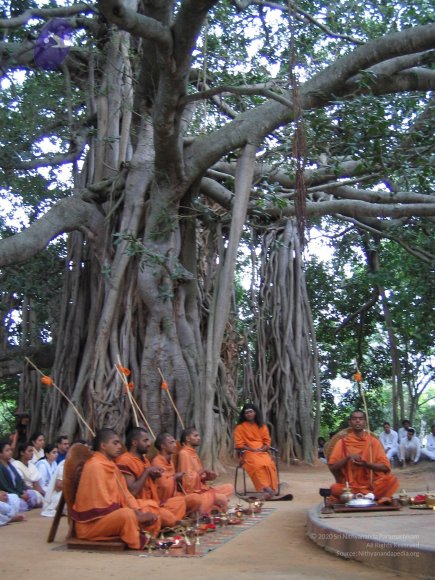 20050805_Photo_1100_IMG_1435_CMP_WM