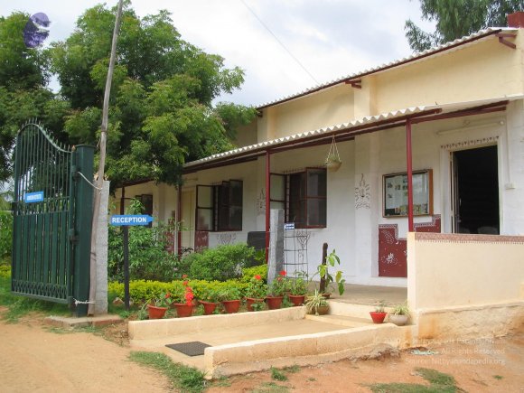 20050805_Photo_1101_IMG_1457_CMP_WM