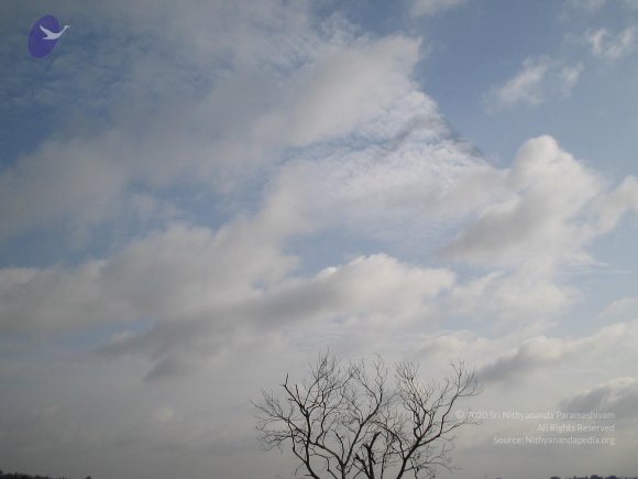 20050806_Photo_1013_IMG_1652_CMP_WM