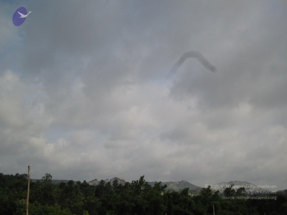 20050806_Photo_1019_IMG_1658_CMP_WM