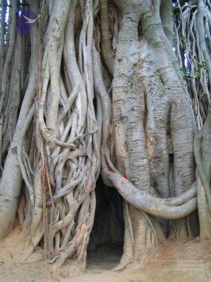 20050806_Photo_1027_IMG_1641_CMP_WM