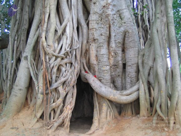 20050806_Photo_1033_IMG_1642_CMP_WM