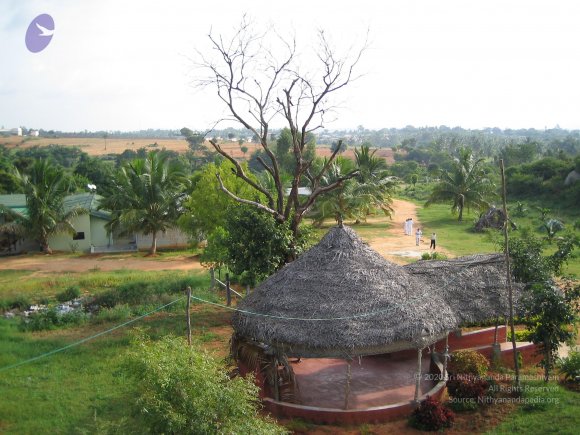 20050806_Photo_1053_IMG_1651_CMP_WM