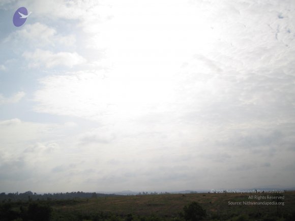 20050806_Photo_1056_IMG_1654_CMP_WM