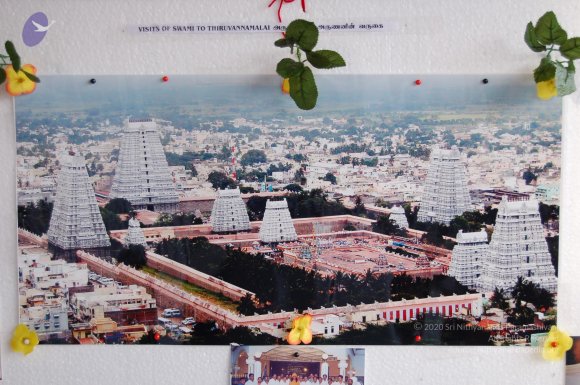 20051201_Photo_1034_DSC_3862_CMP_WM