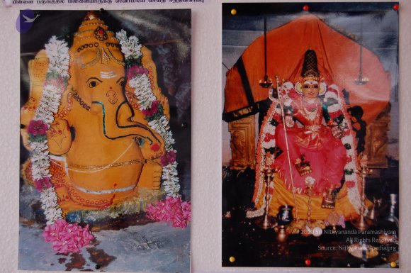 20051201_Photo_1137_DSC_4181_CMP_WM