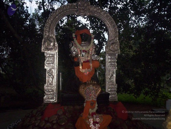 20051215_Photo_1033_100_1381_CMP_WM