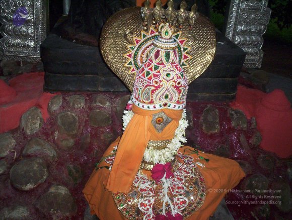 20051215_Photo_1105_100_1380_CMP_WM